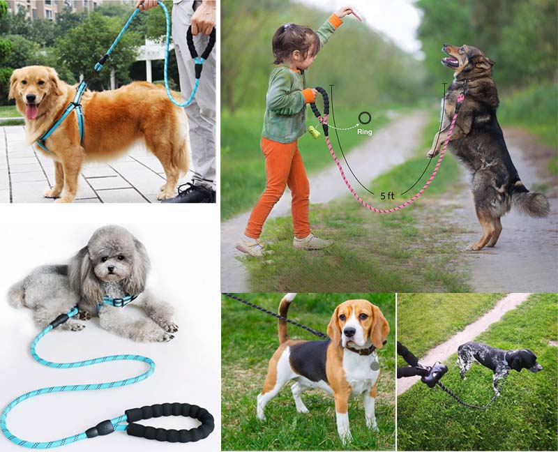 ChangYe pet leash application